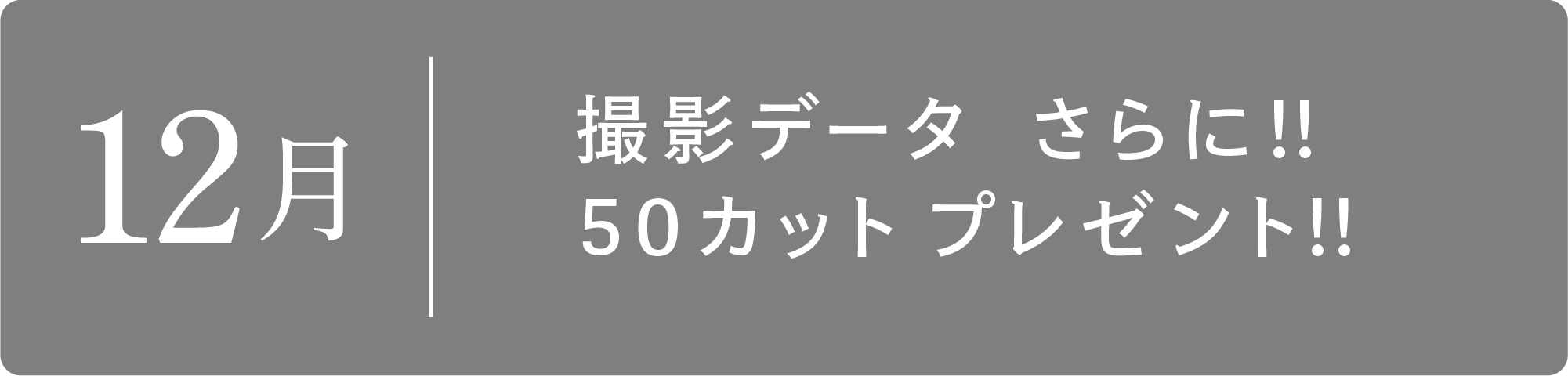 12月　撮影データ さらに!!50カットプレゼント!!